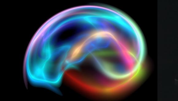 דינמיקות של תפקודי מוח וקריאה בשפות שונות 